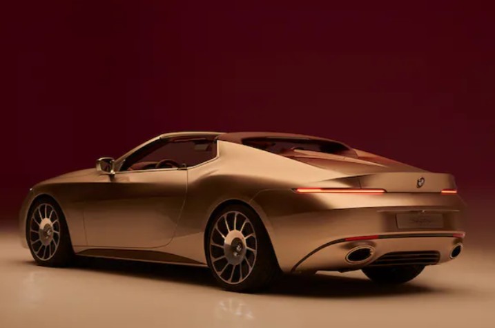 The BMW Concept Skytop